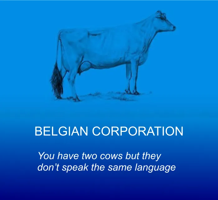 Belgian Corporation