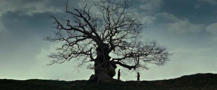 Harry Potter And The Deathly Hallows