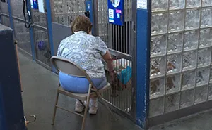 Woman Reads To Old Shelter Dogs To Make Them Feel Less Lonely