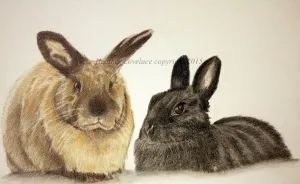 I Draw Custom Pet Portraits In Pencil
