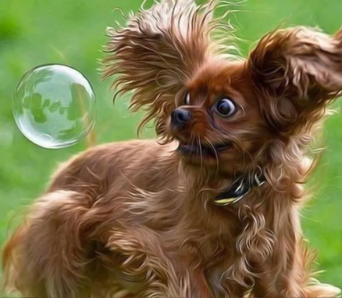 Dogs Have Fears Too