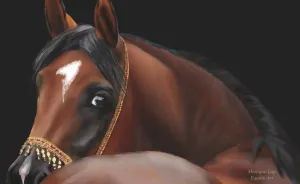 I Create Digital Horse Paintings