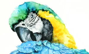 I'm An Architect And I Escape Urban World By Watercoloring Birds
