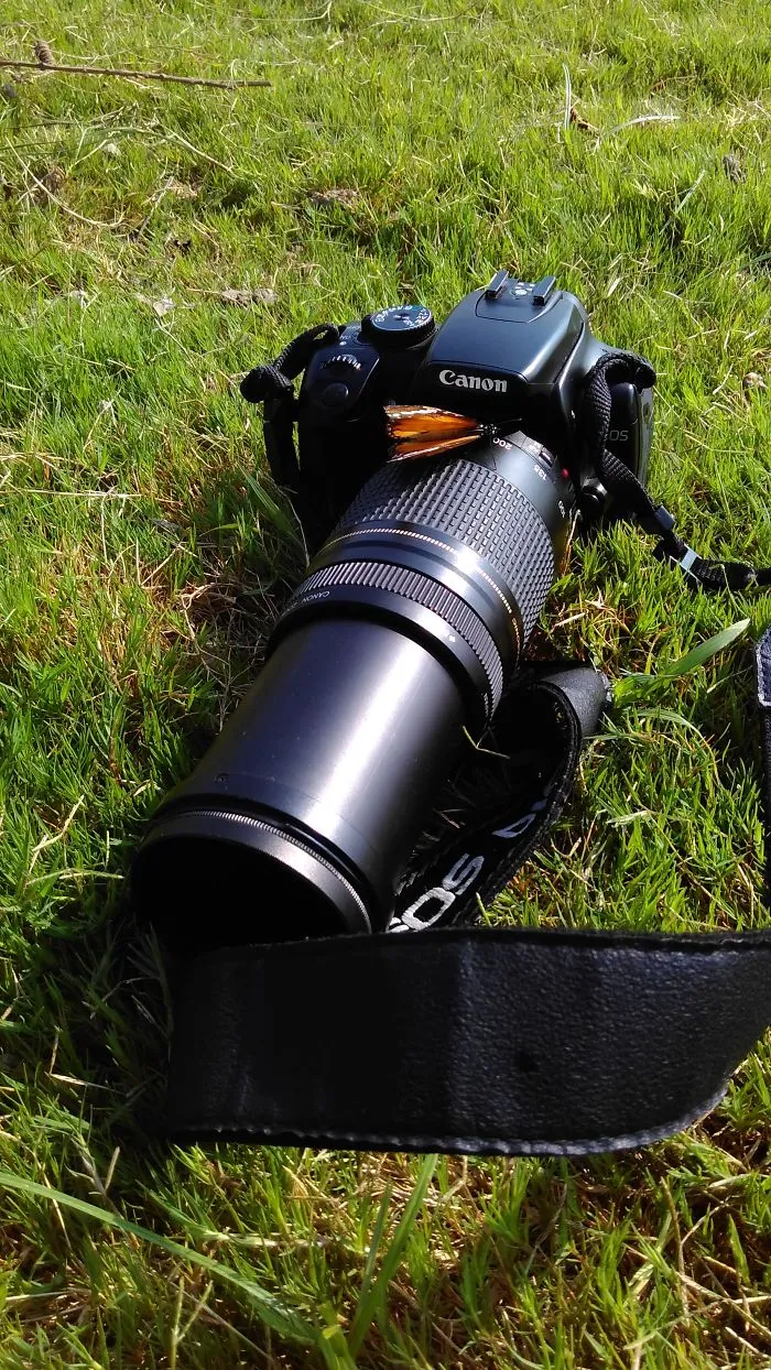 51 Animals That Want To Be Photographers
