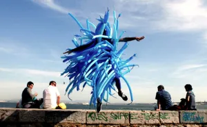 Unexpected Sea Creature Walks Into The City Of Lisbon