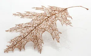 I Make Leaves Out Of Human Hair