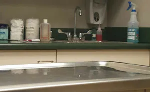 61 Cats Who Just Realized You Took Them To The Vet