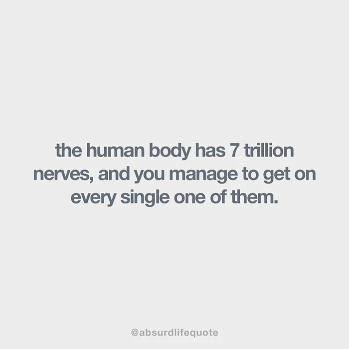 Absurd Life Quote
