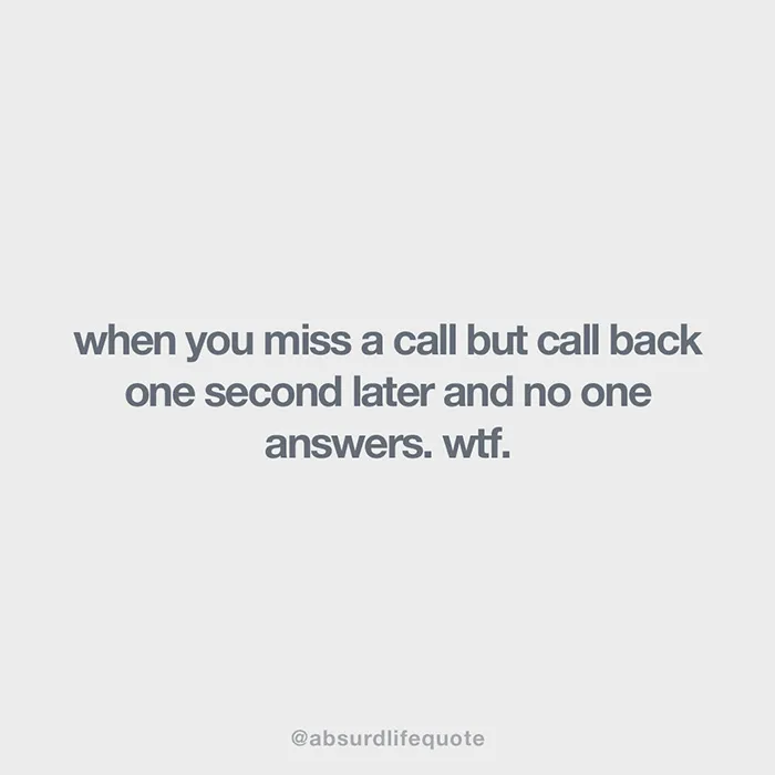 Absurd Life Quote