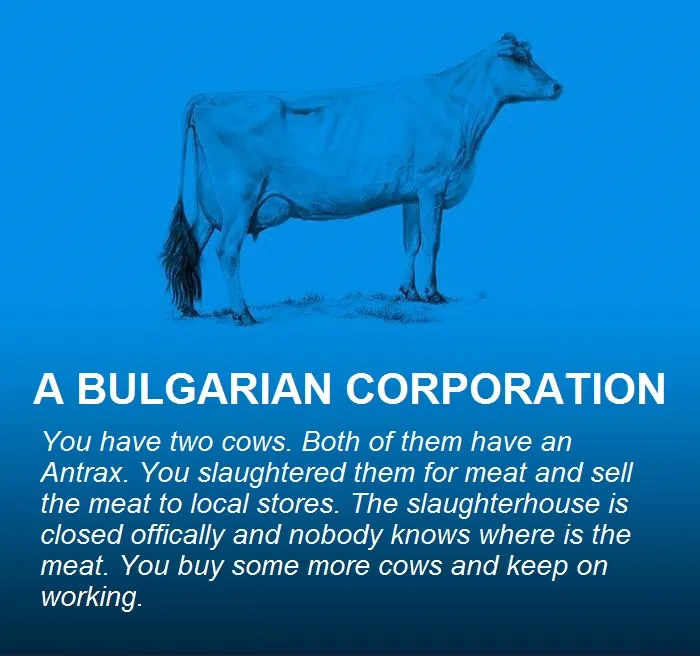 A Bulgarian Corporation