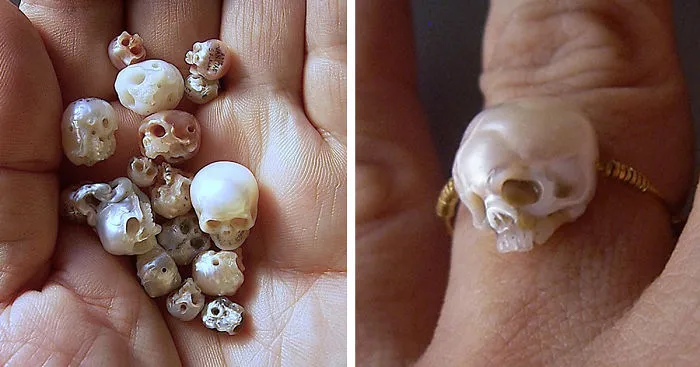 Japanese Artist Carves Pearls Into Skull Jewelry