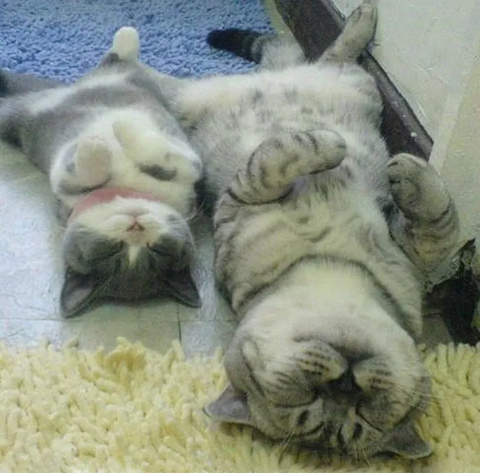 Like Father Like Son