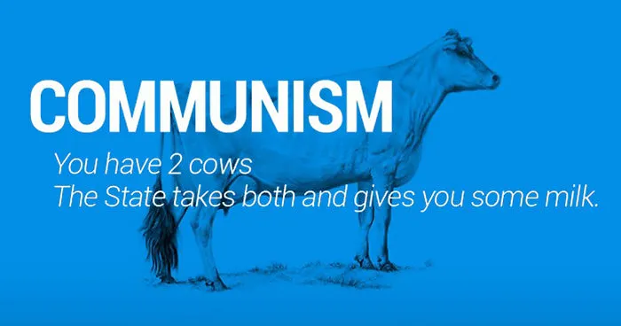 Two Cows Explain Economics Better Than Any Class