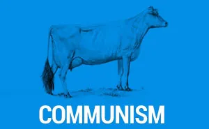 Two Cows Explain Economics Better Than Any Class