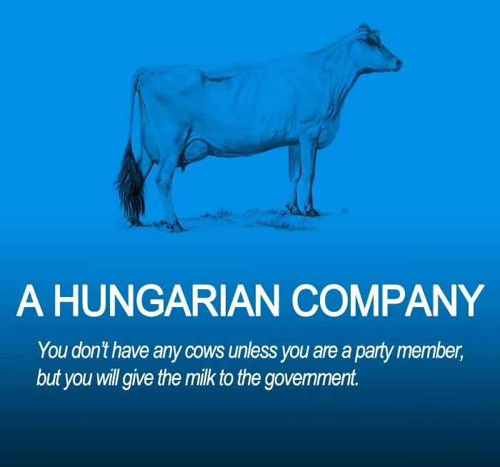 A Hungarian Company