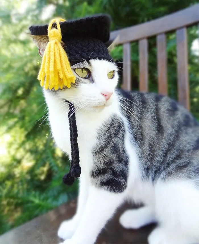 Graduation Hat