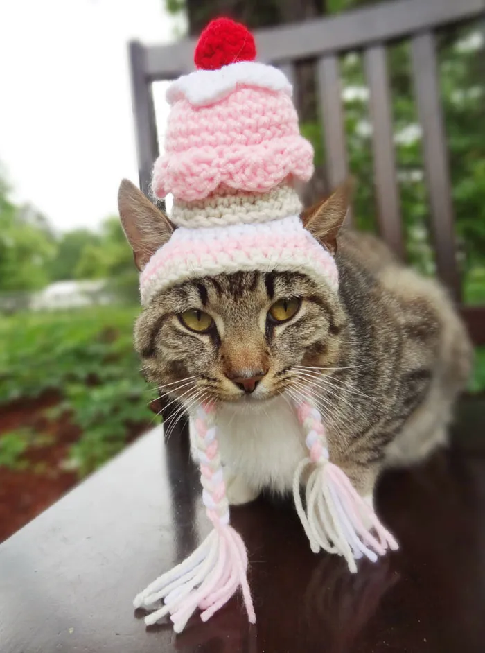 Cupcake Hat