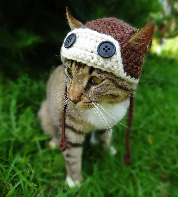 Aviator Hat