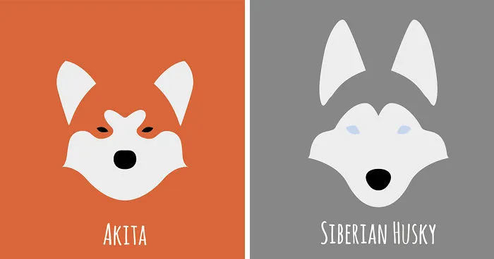 I Make Minimalist Illustrations Of Various Dog Breeds