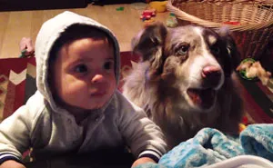 Mom Offers Baby A Treat If He Says 'Mama,' Dog Says It First
