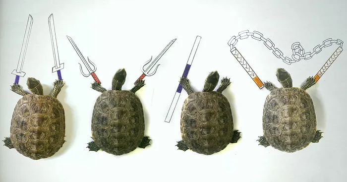 I Draw Interactive Illustrations Using Everyday Objects (Part 2)
