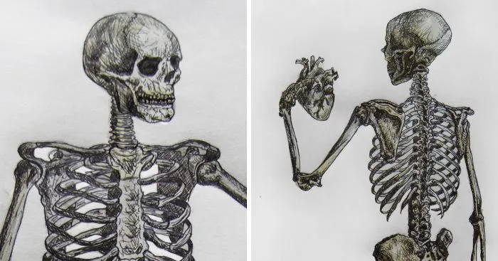 I Draw Anatomical Illustrations With Tea On Papyrus