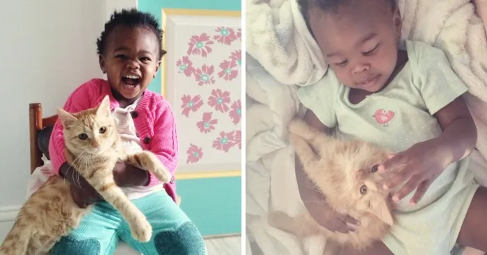 Libby And Elsa: The Adorable Relationship Between A Toddler And Her Kitty