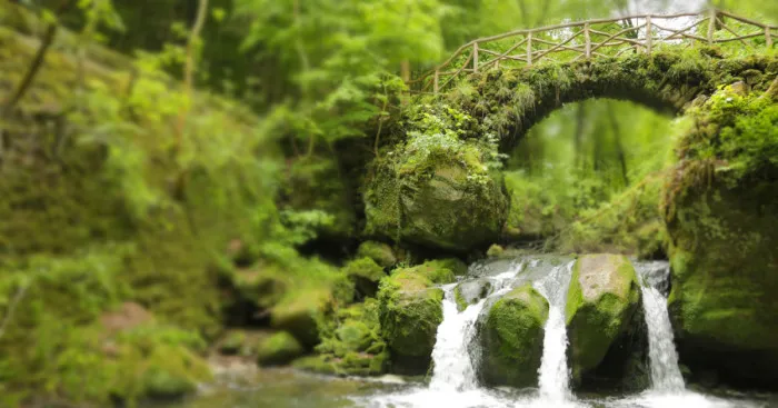 Small Is Beautiful: Our Photographic Journey Through Luxembourg