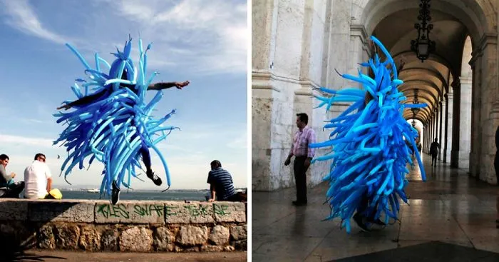 Unexpected Sea Creature Walks Into The City Of Lisbon