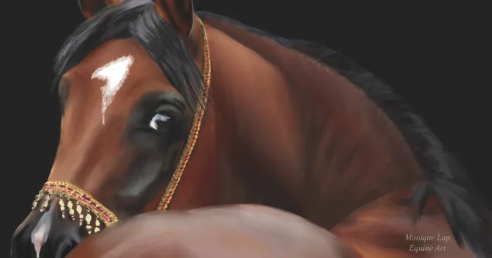 I Create Digital Horse Paintings