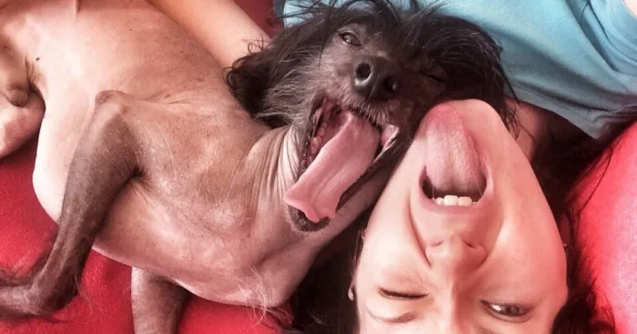 My Amazing Chinese Crested Dog From Russia