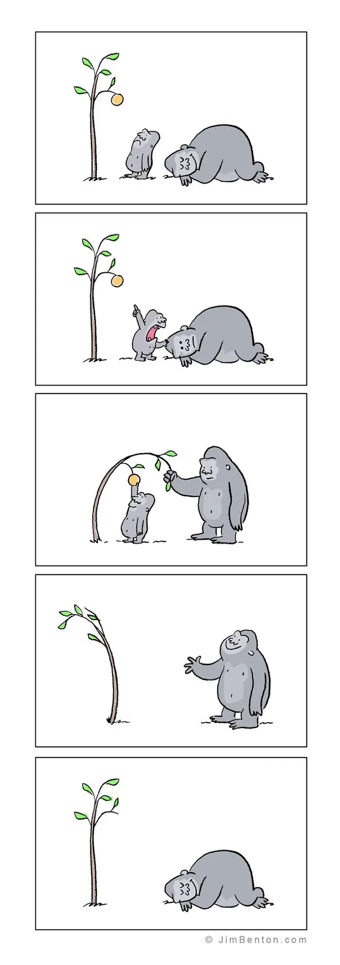 160 Funny Comics By Jim Benton