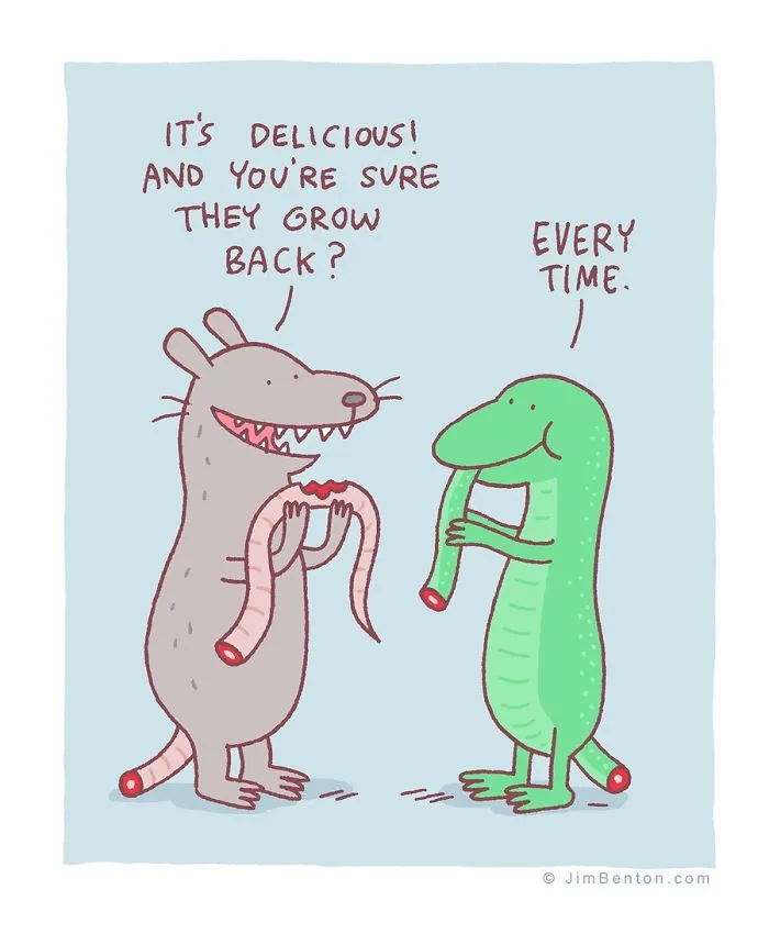 160 Funny Comics By Jim Benton