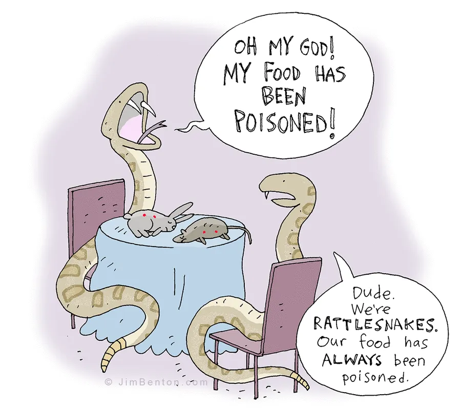 160 Funny Comics By Jim Benton