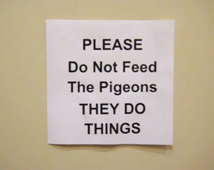 Please Do Not Feed The Pigeons