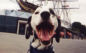 100 Cameras Were Given To Homeless In London And The Result Left Everyone Speechless