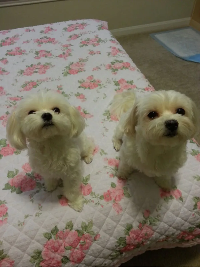 Son And Mommy!