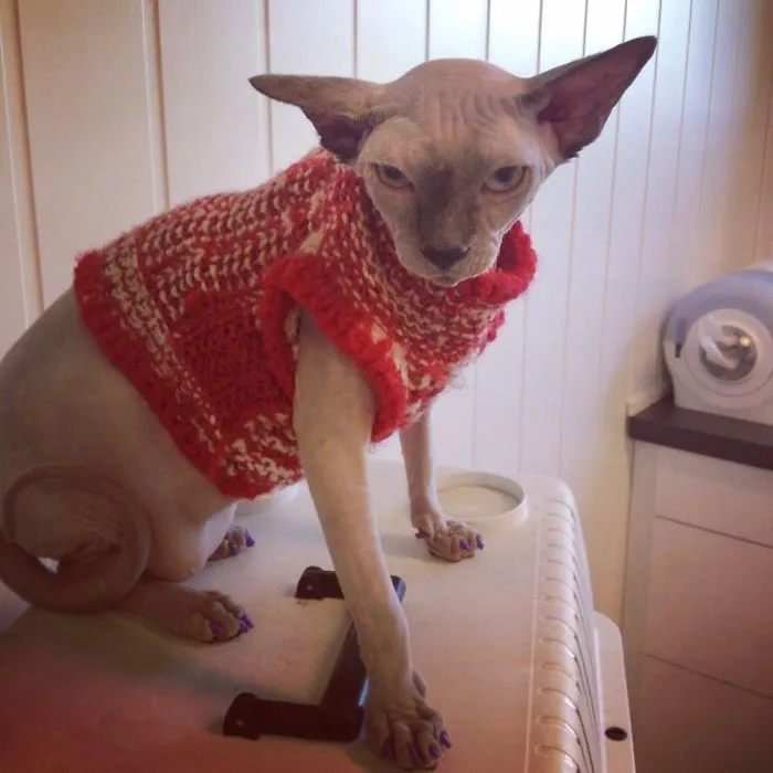 Not Pleased.. Not Pleased At All!..
