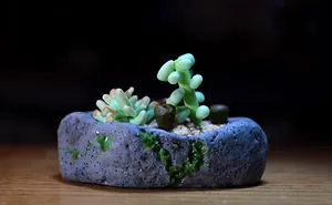 Realistic Succulents From Polymer Clay (video)