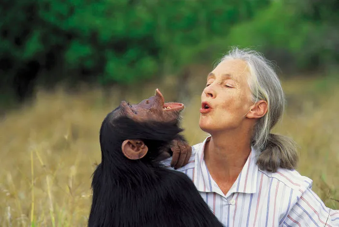 Jane Goodall, Leading Primatologist And Conservationalist