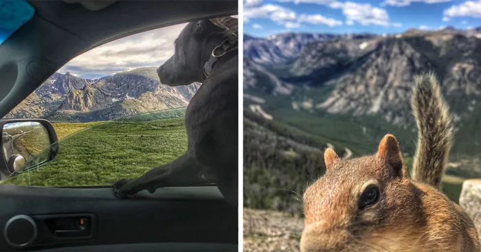 I Live In My Truck With My Dog And Travel Across The Country