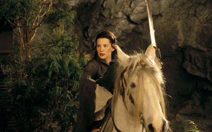 Lord Of The Rings: The Fellowship Of The Ring
