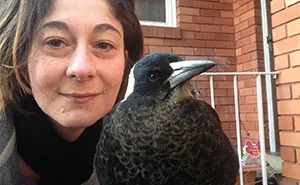 How A Magpie Saved Our Cat's Life And Brought Joy To Our Home