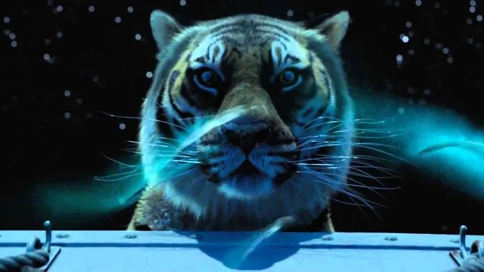 Life Of Pi