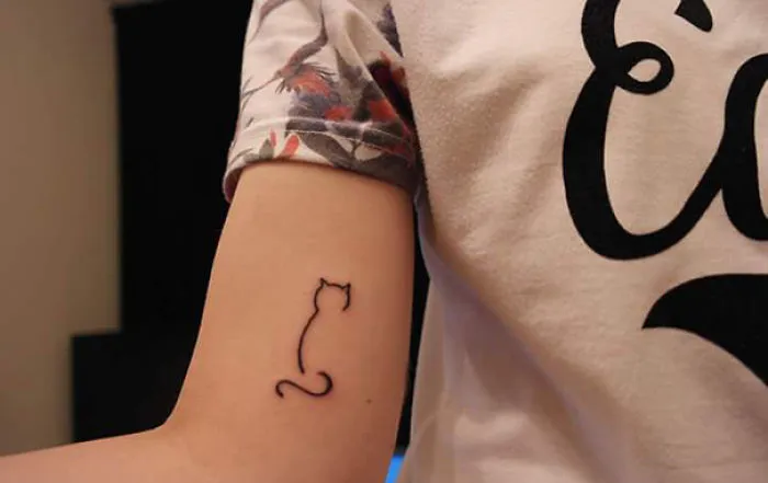 Simple cat tattoo line art on a person's arm, showcasing minimalistic design for cat lovers.