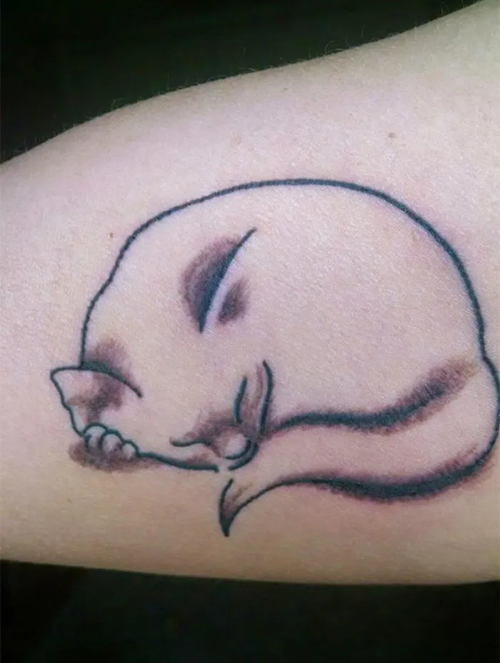 Simple cat line art tattoo design on skin, ideal for cat lovers.