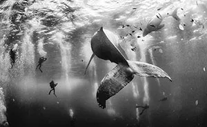 The Winners Of The 2015 National Geographic Traveler Photo Contest