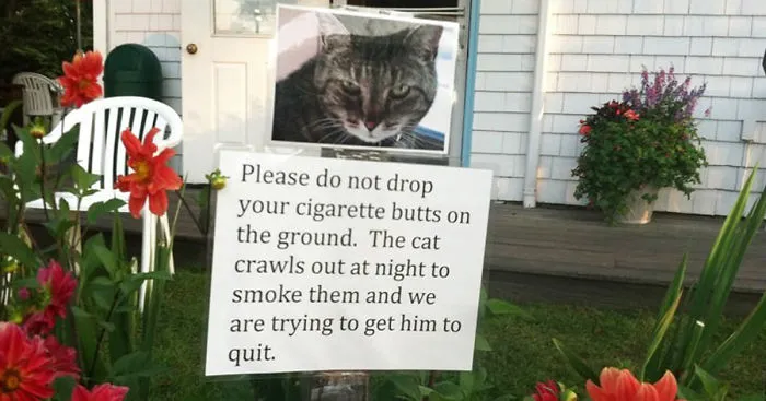 63 Neighbourly Notes You Wouldn't Want To Find On Your Doorstep