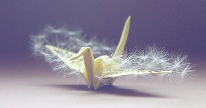 I Make An Origami Crane To Describe Every Day