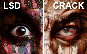 I Photograph People On Drugs To Show How They Affect Their Brains